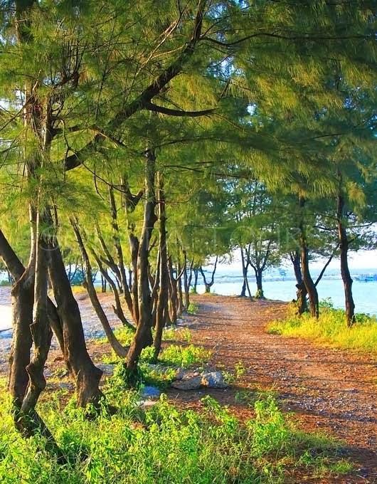 Pari Solata Seaview Homestay Syariah Kepulauan Seribu Exteriör bild