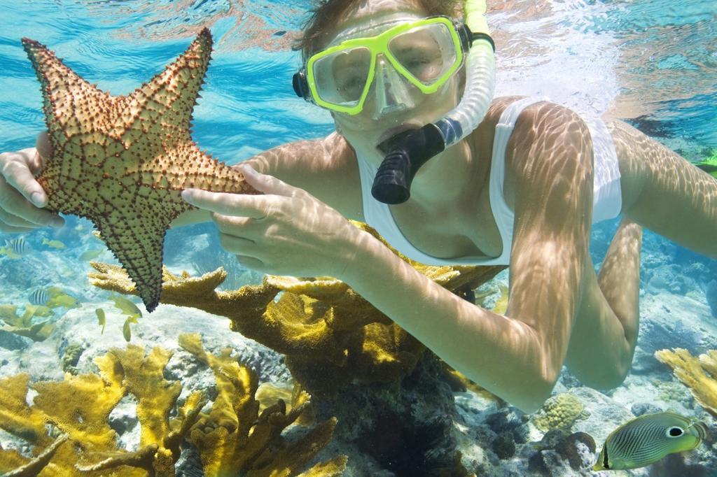 Pari Solata Seaview Homestay Syariah Kepulauan Seribu Exteriör bild